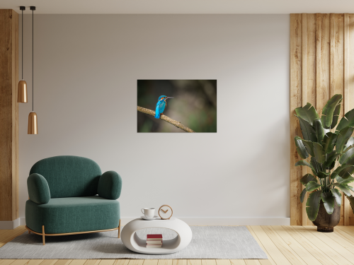 Wandbild Eisvogel